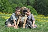 ENFANT ET CHIEN 193